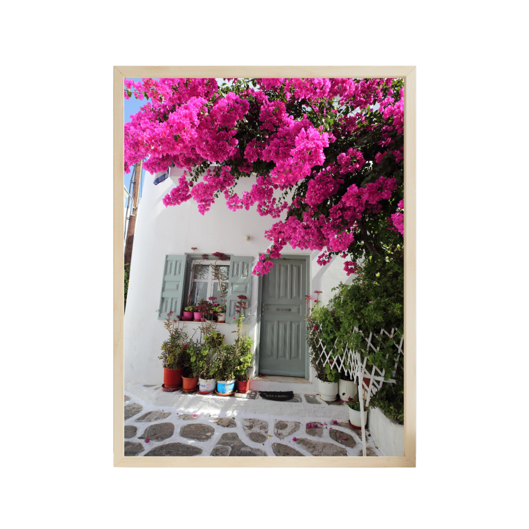 Bloom Over Mykonos